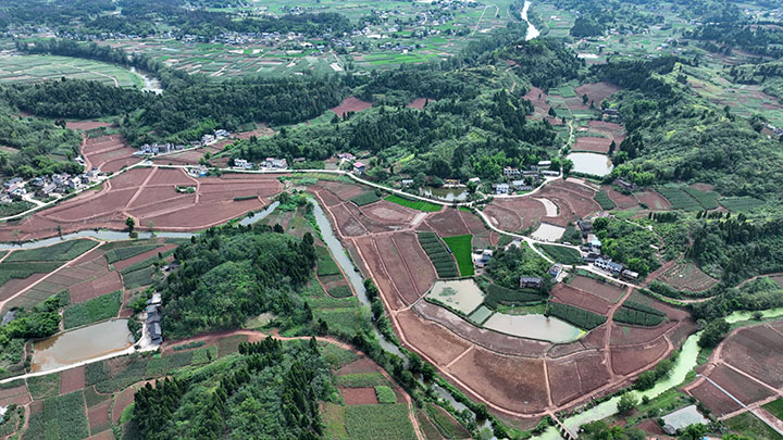 圖1  7月4日，內(nèi)江市東興區(qū)石子鎮(zhèn)旱地壩村，高標(biāo)準(zhǔn)農(nóng)田美如畫（無人機(jī)照片）。.jpg