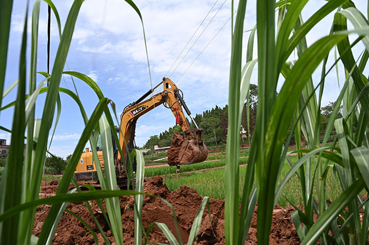 圖4  內(nèi)江人和國資公司組織施機(jī)械進(jìn)行高標(biāo)準(zhǔn)農(nóng)田建設(shè).jpg