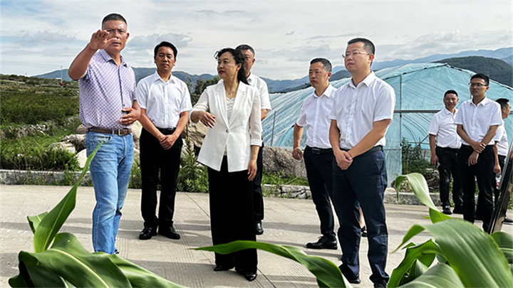 1688551396749893.png 圖片3.png