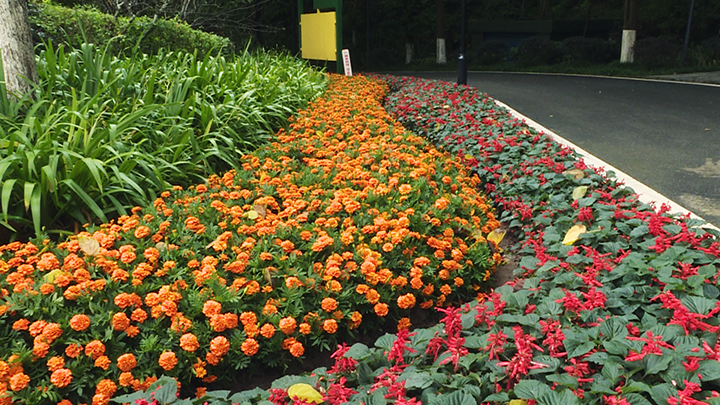 1688617038860326.png 圖片2.png