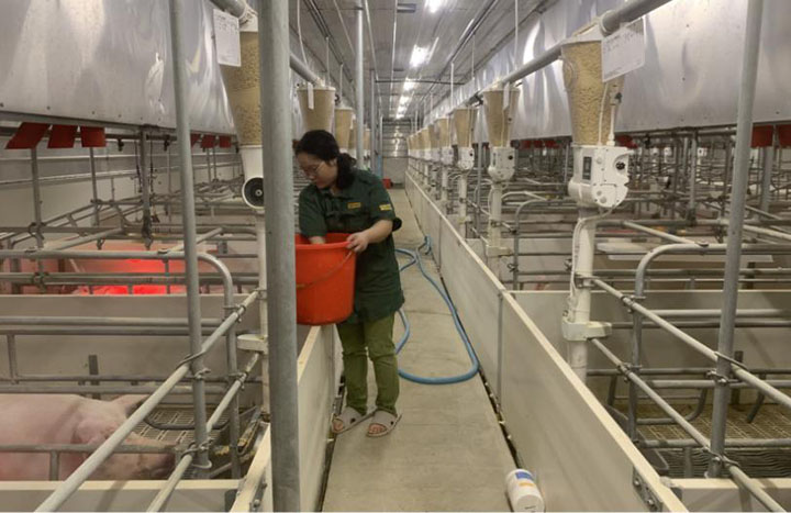 1689058381925689.jpg 圖片1.jpg