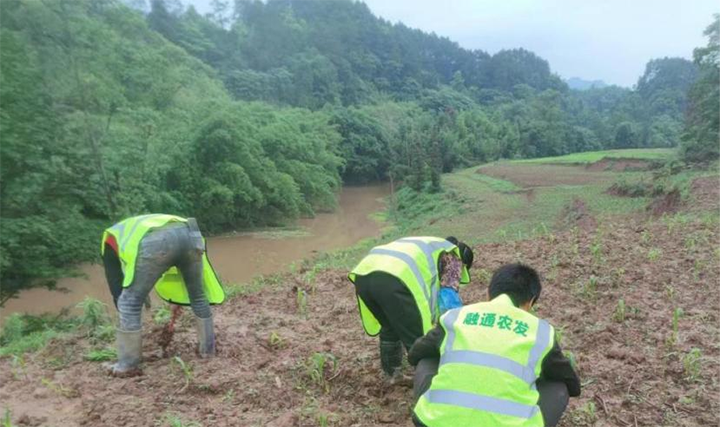 1689058395655088.png 圖片4.png