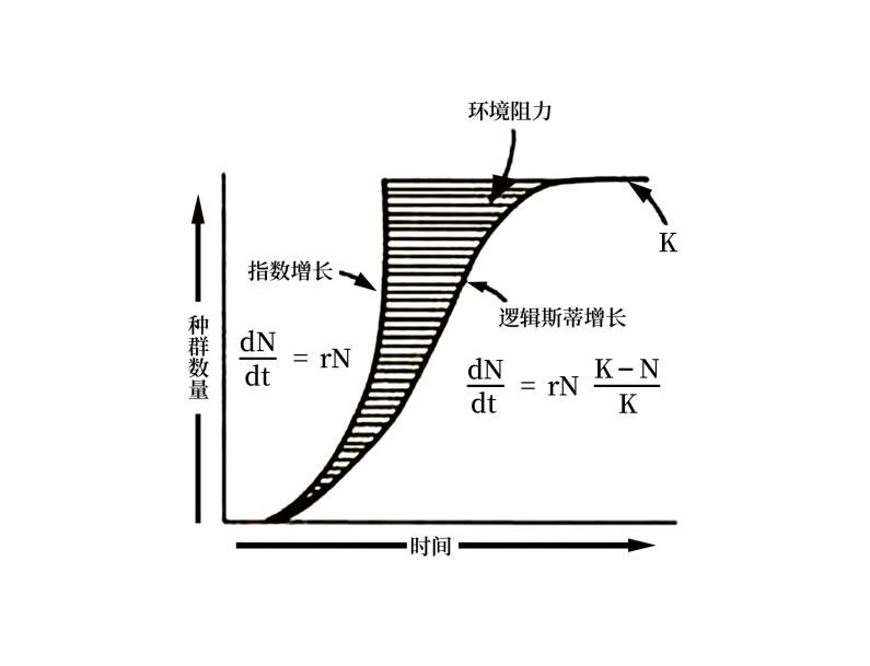 1689429591484861.jpg 112.jpg