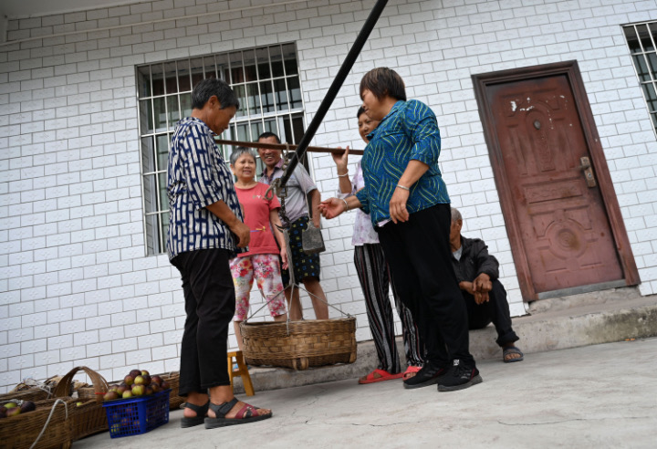 5 果農(nóng)正在為新鮮采摘的無(wú)花果稱重.JPG