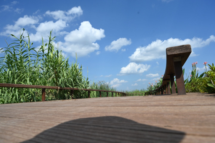 1690854918244671.jpg 2.JPG