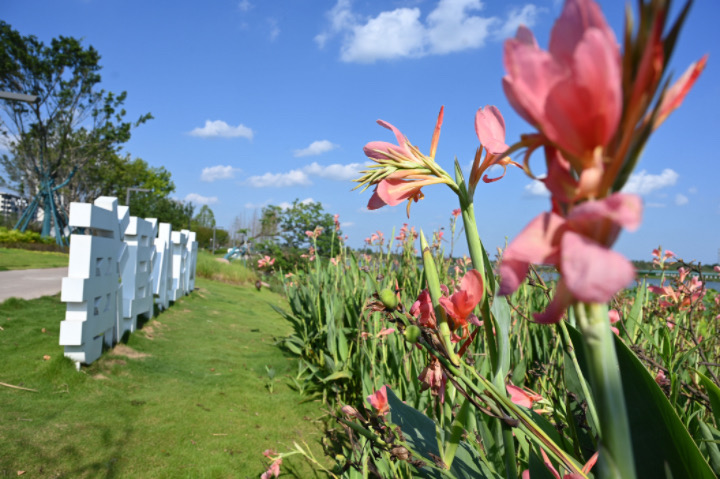 1690854927283115.jpg 4.JPG