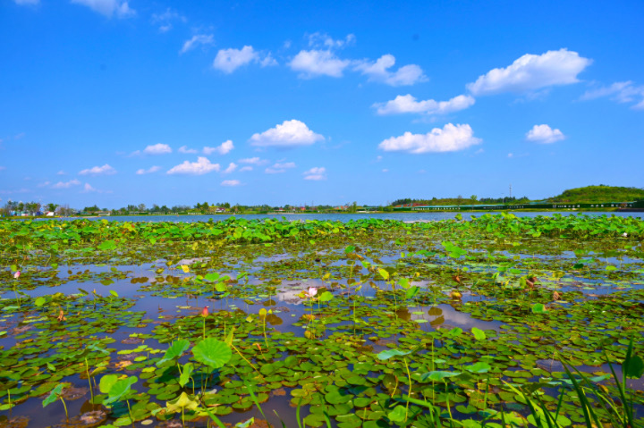 1690854933390464.jpg 5.JPG