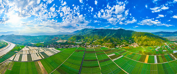 11米易現(xiàn)代農(nóng)業(yè)——天府第二糧倉  陀宏 攝.jpg