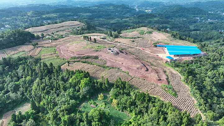 圖5  玉米大豆復種產(chǎn)業(yè)園里“曬秋”忙.png