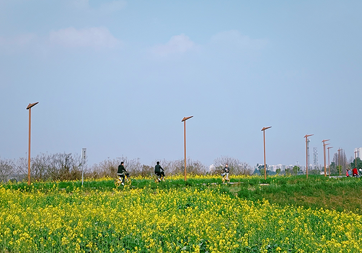 7游人騎行在春天的天府綠道.png