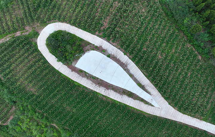 圖1  8月19日，航拍內(nèi)江市東興區(qū)永福鎮(zhèn)盤陀村“玉米+大豆”復(fù)合種植基地。.png