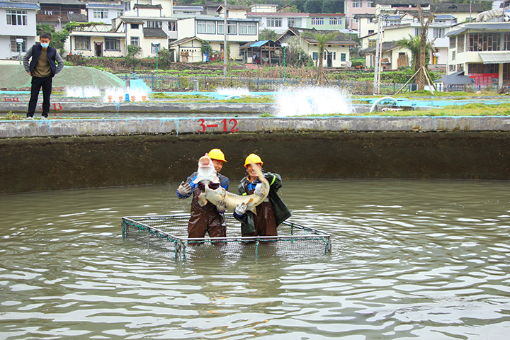 1692858453331240.png 8天全思經(jīng)魚子醬特色小鎮(zhèn).png