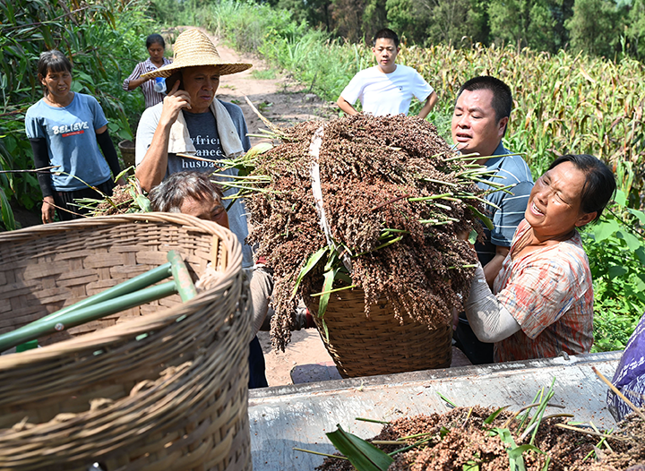 圖4 村民正在裝車.png