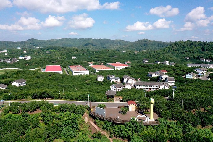 2  2023年8月28日，在四川省廣安市廣安區(qū)龍安鄉(xiāng)群策村，成片的龍安柚、加工廠房與農(nóng)民新居構(gòu)成一幅美麗的鄉(xiāng)村振興畫卷。（無人機(jī)照片）.png