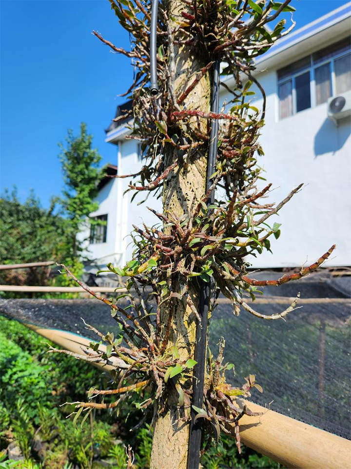 1693796453227832.png 1.png