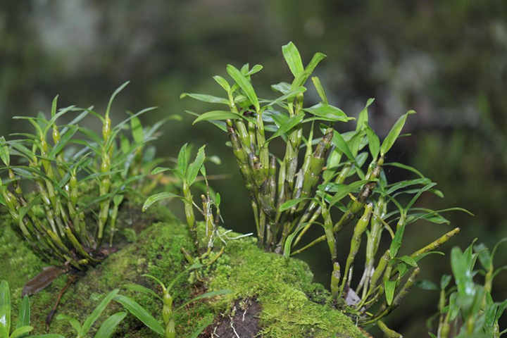 1693796478383767.png 3.png