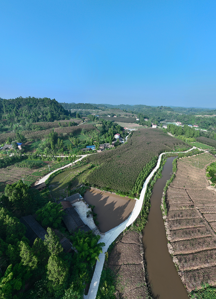 圖4  紫薇花開扮靚美麗鄉(xiāng)村（無人機(jī)照片）.png