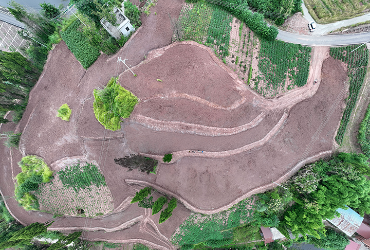 圖2  9月19日，四川內(nèi)江市東興區(qū)青臺(tái)村，農(nóng)機(jī)手駕駛著施工機(jī)械整地備耕（無(wú)人機(jī)照片）。.png