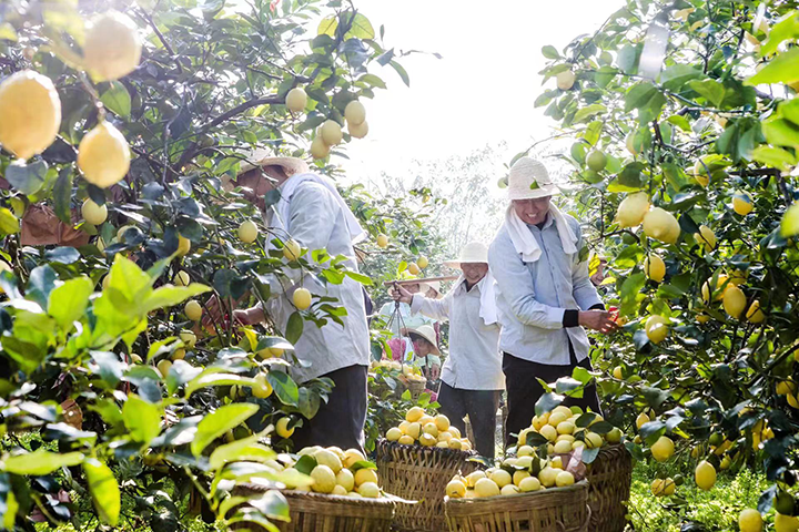 1697525405484124.png 圖1.png