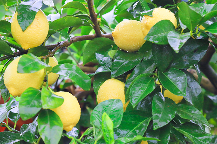 1697525426313517.png 圖4.png