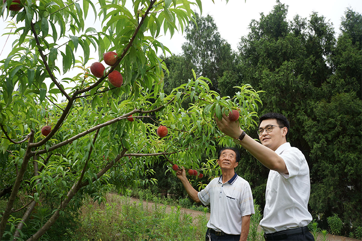 1697599160422256.png 2.png