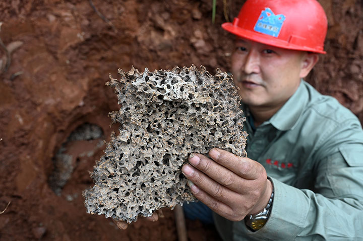 2 2023年10月24日，在四川省內(nèi)江市東興區(qū)白合鎮(zhèn)幸福水庫堤壩上，白蟻防治人員正在挖掘白蟻巢穴。.jpg