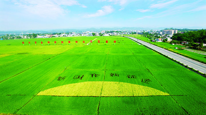 6 廣漢現(xiàn)代農(nóng)業(yè)產(chǎn)業(yè)園核心區(qū) .jpg