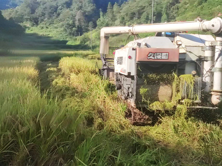 1699845600377907.jpg 圖片1.jpg