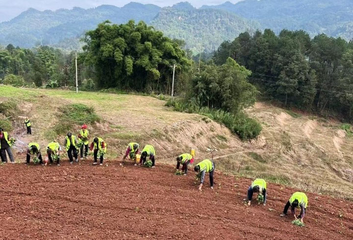 1699845608200949.jpg 圖片3.jpg