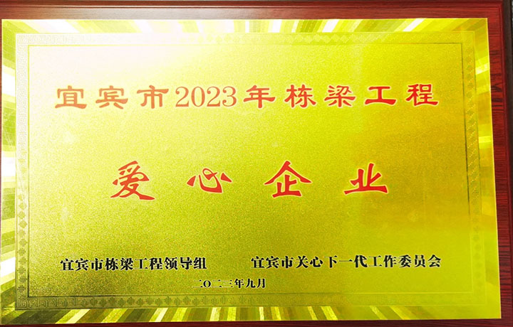“宜賓市2023年棟梁工程愛心企業(yè)”榮譽獎牌.jpg
