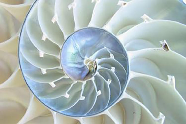 1702622597534796.jpg 6.jpg