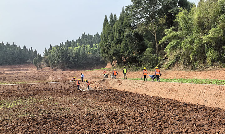 圖4  民工加班加點修建囤水田埂.jpg