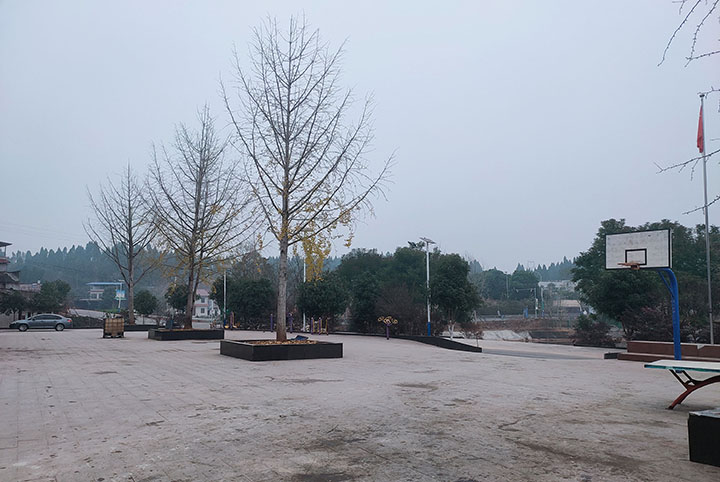 1704177304578186.jpg 圖1.jpg