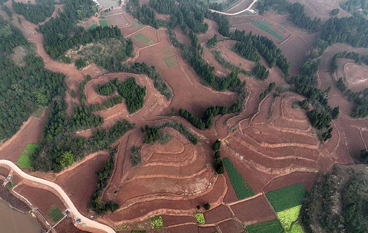 圖3  高標(biāo)準(zhǔn)農(nóng)田建設(shè)項(xiàng)目現(xiàn)場一派繁忙景象（無人機(jī)照片）。.jpg