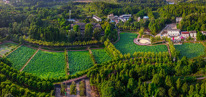 1704694858477034.jpg 圖1 舊居村航拍.jpg