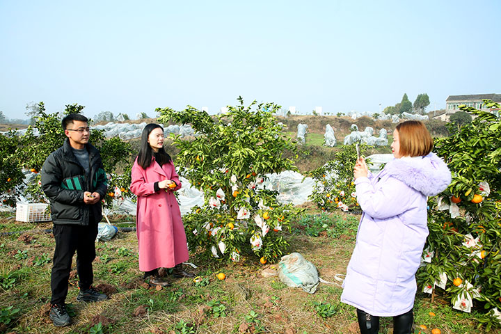 圖4  廣安區(qū)總工會(huì)派駐龍臺(tái)鎮(zhèn)墟觀村第一書記李雪（中）在直播帶貨。.jpg