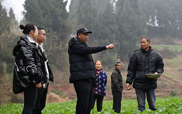 圖1  2024年1月16日，四川省內(nèi)江市東興區(qū)雙橋鎮(zhèn)書房村，農(nóng)技人員在田間地頭指導(dǎo)油菜種植戶科學(xué)施肥。.jpg