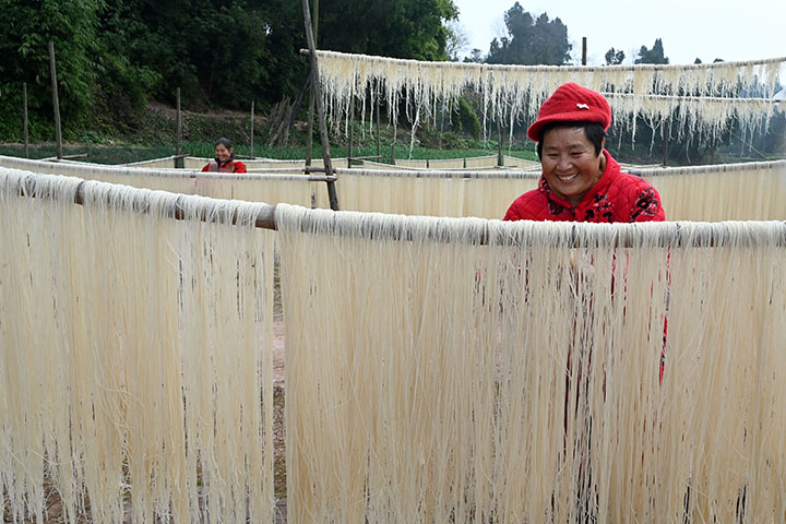 1705647911342351.jpg 圖3.jpg