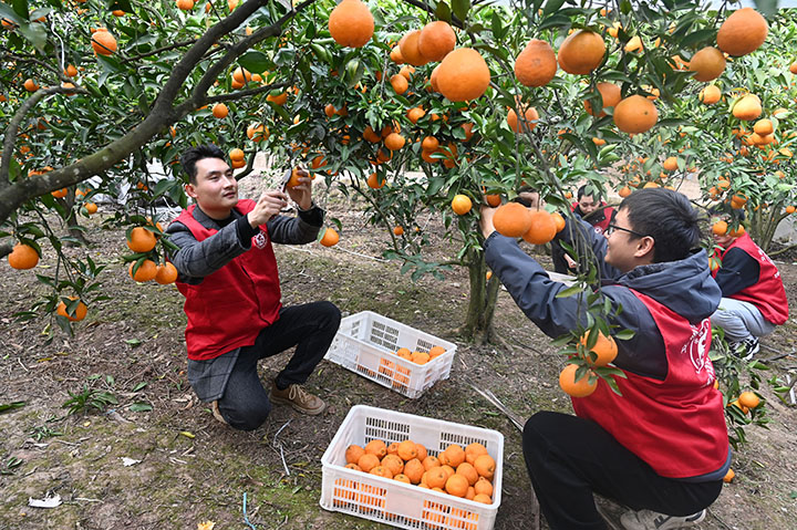 1705648207803205.jpg 圖2.jpg