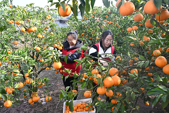 1705648215484228.jpg 圖4.jpg