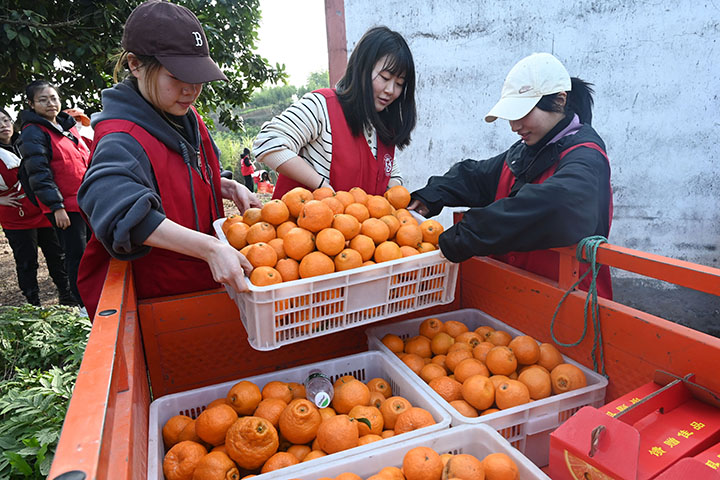 1705648219456226.jpg 圖5.jpg