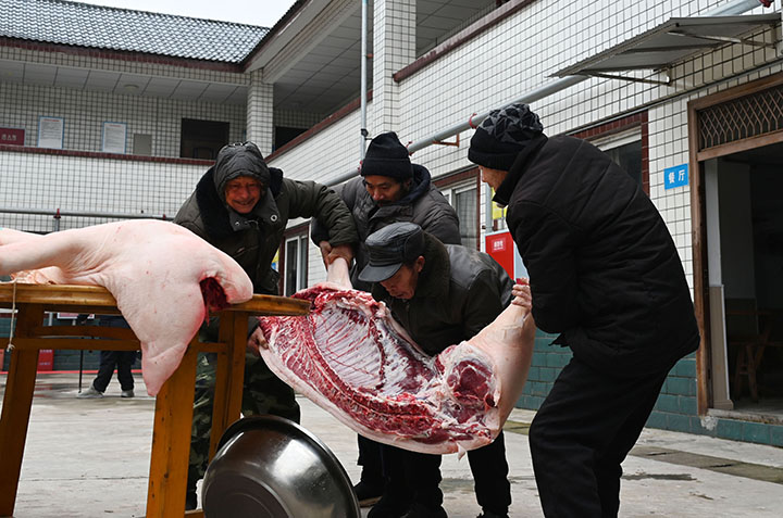 圖1  2024年1月25日，四川省內(nèi)江市東興區(qū)郭北鎮(zhèn)中心敬老院，該院老人喜領(lǐng)愛(ài)心人士送來(lái)的“過(guò)年豬”。.jpg