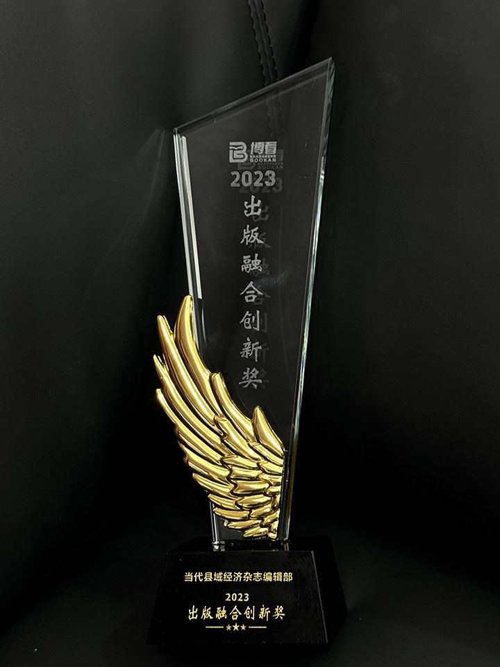 1 《當(dāng)代縣域經(jīng)濟(jì)》雜志獲2023年出版融合創(chuàng)新獎(jiǎng).jpg