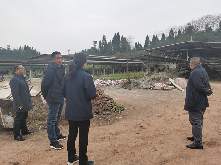 1710773992236231.jpg 2宜賓農(nóng)商銀行工作人員上門實(shí)地考察肉牛養(yǎng)殖情況.jpg