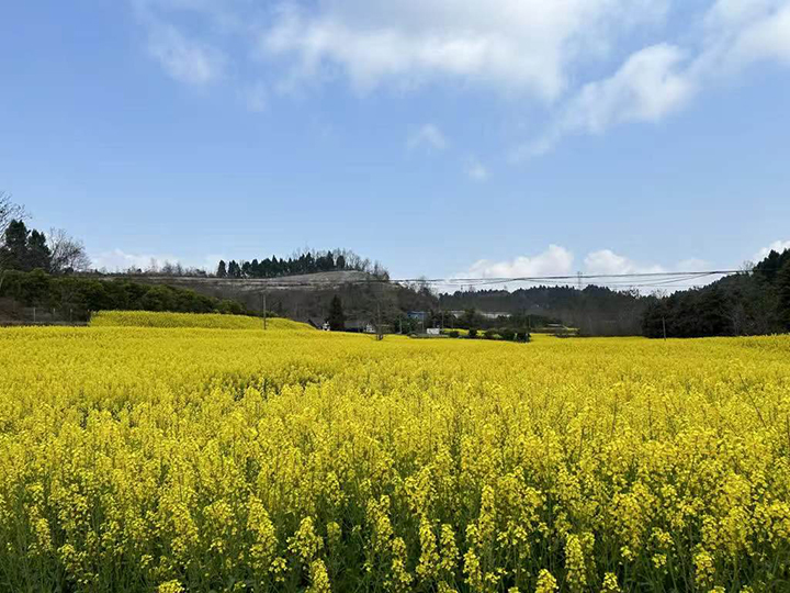 1710855014162047.jpg 圖2.jpg