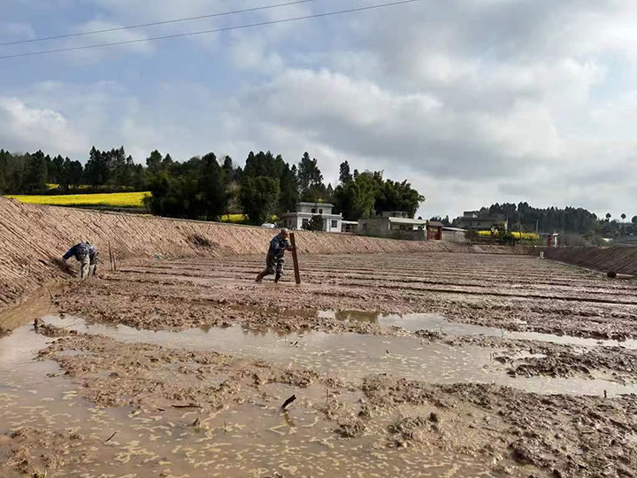 1710855026724948.jpg 圖4.jpg