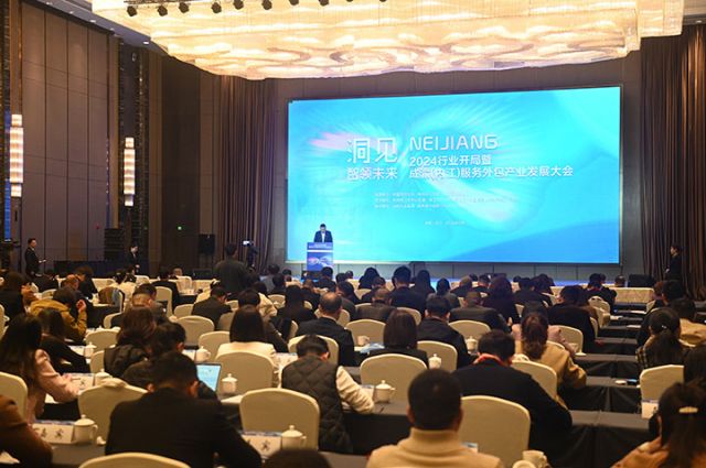 1 洞見·智領(lǐng)未來——2024行業(yè)開局暨成渝（內(nèi)江）服務(wù)外包產(chǎn)業(yè)發(fā)展大會(huì)現(xiàn)場.jpg