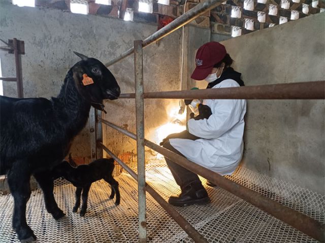 1711508264351659.jpg 圖1 拷貝.jpg