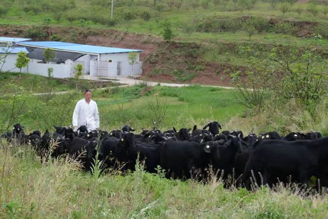 1711508267499734.jpg 圖2.jpg