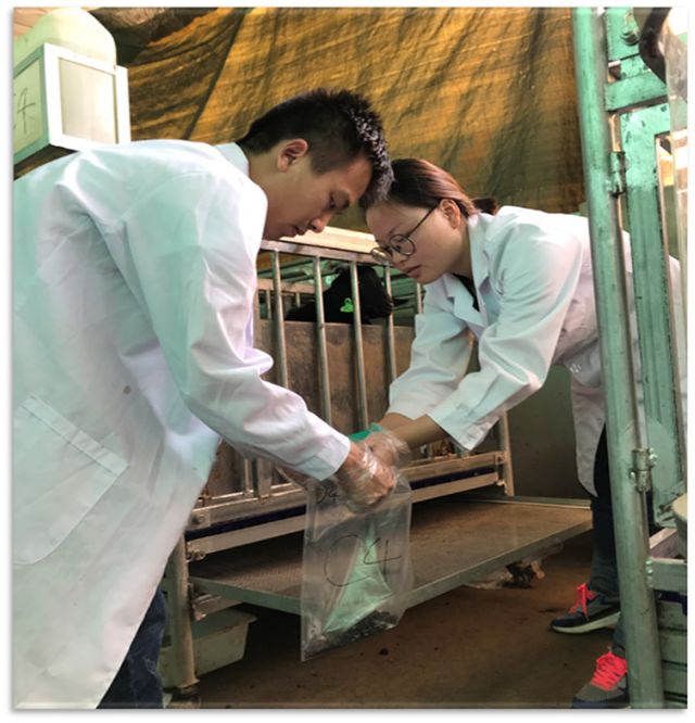 1711508275628186.jpg 圖4 拷貝.jpg